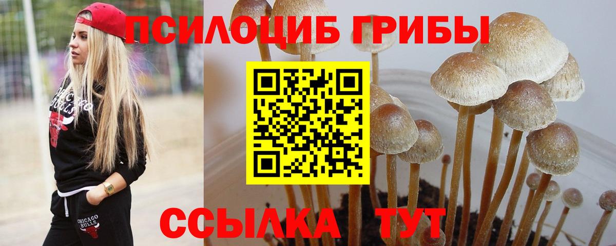 Геленджик  Галлюциногенные грибы MAGIC MUSHROOMS  Галлюциногенные грибы Psilocybine cubensis  Вход с VPN 